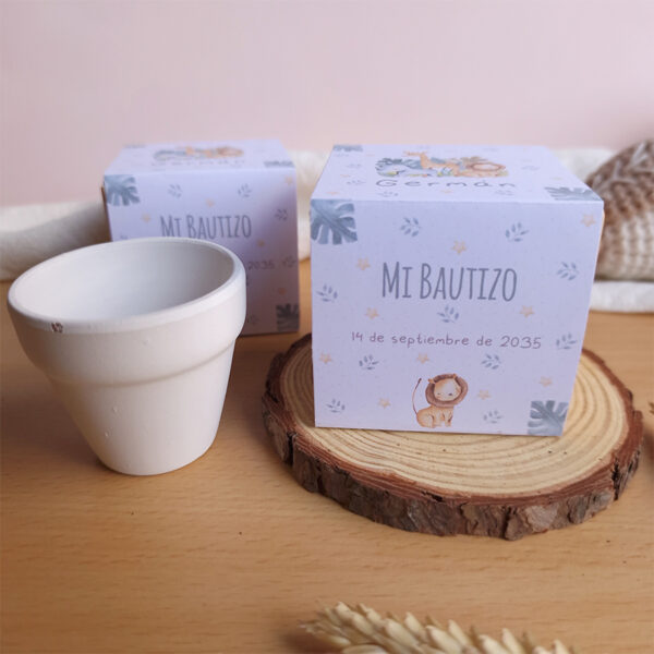 kit plantable con el diseño safari para bautizo vista parte superior de la caja